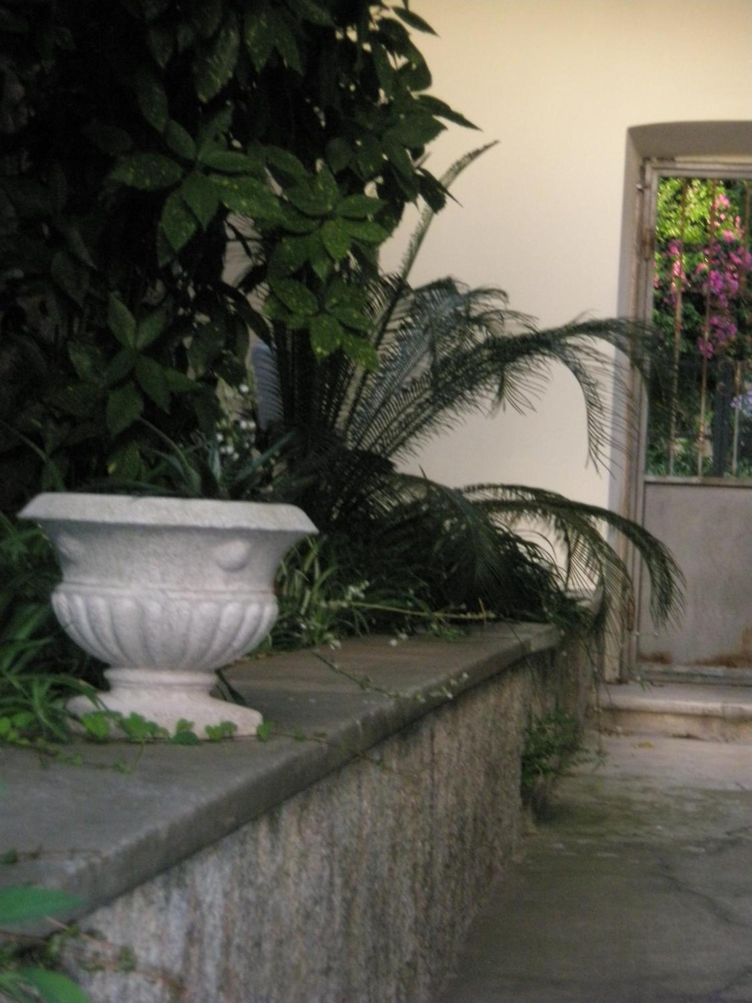 Apartments Pile Marina Dubrovnik Dış mekan fotoğraf