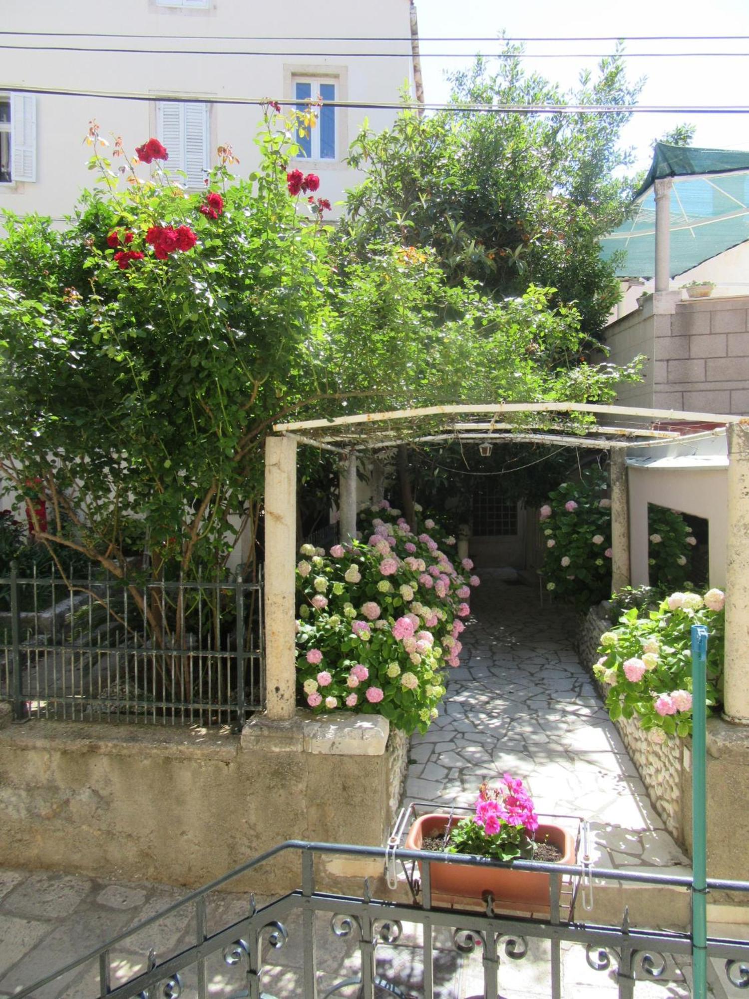 Apartments Pile Marina Dubrovnik Dış mekan fotoğraf